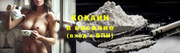 индика Арсеньев