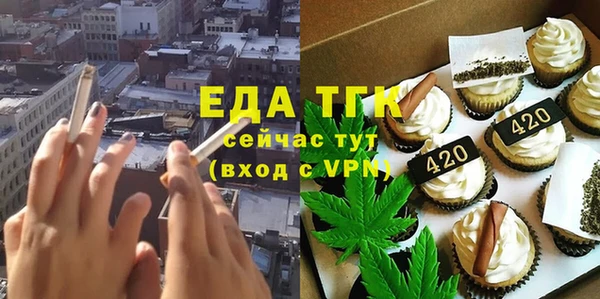 шишки Слюдянка