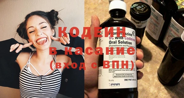 шишки Слюдянка