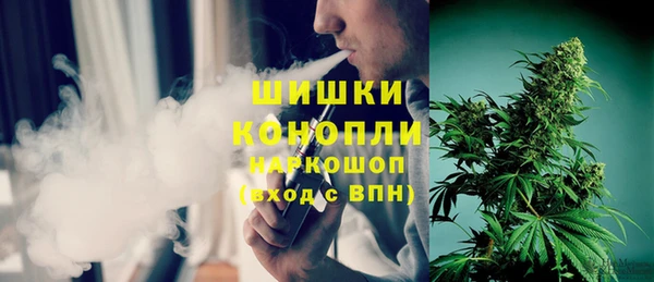 дмт Снежногорск