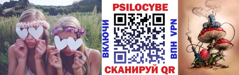 купить закладку  Курчатов  Галлюциногенные грибы мицелий 